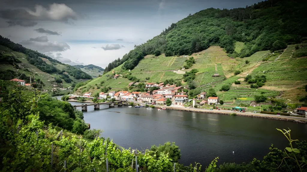 Belesar seen from the vineyards