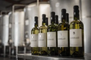 Godello: An Identity Built in the Cellar