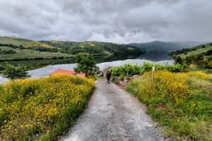A Embelesadora: A Walk That Earns Its Name Sideways