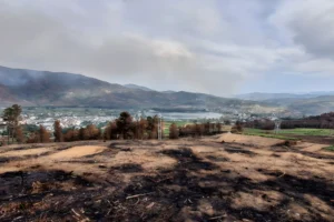 What Fire Reveals: Wildfire as a Reading of Ribeira Sacra