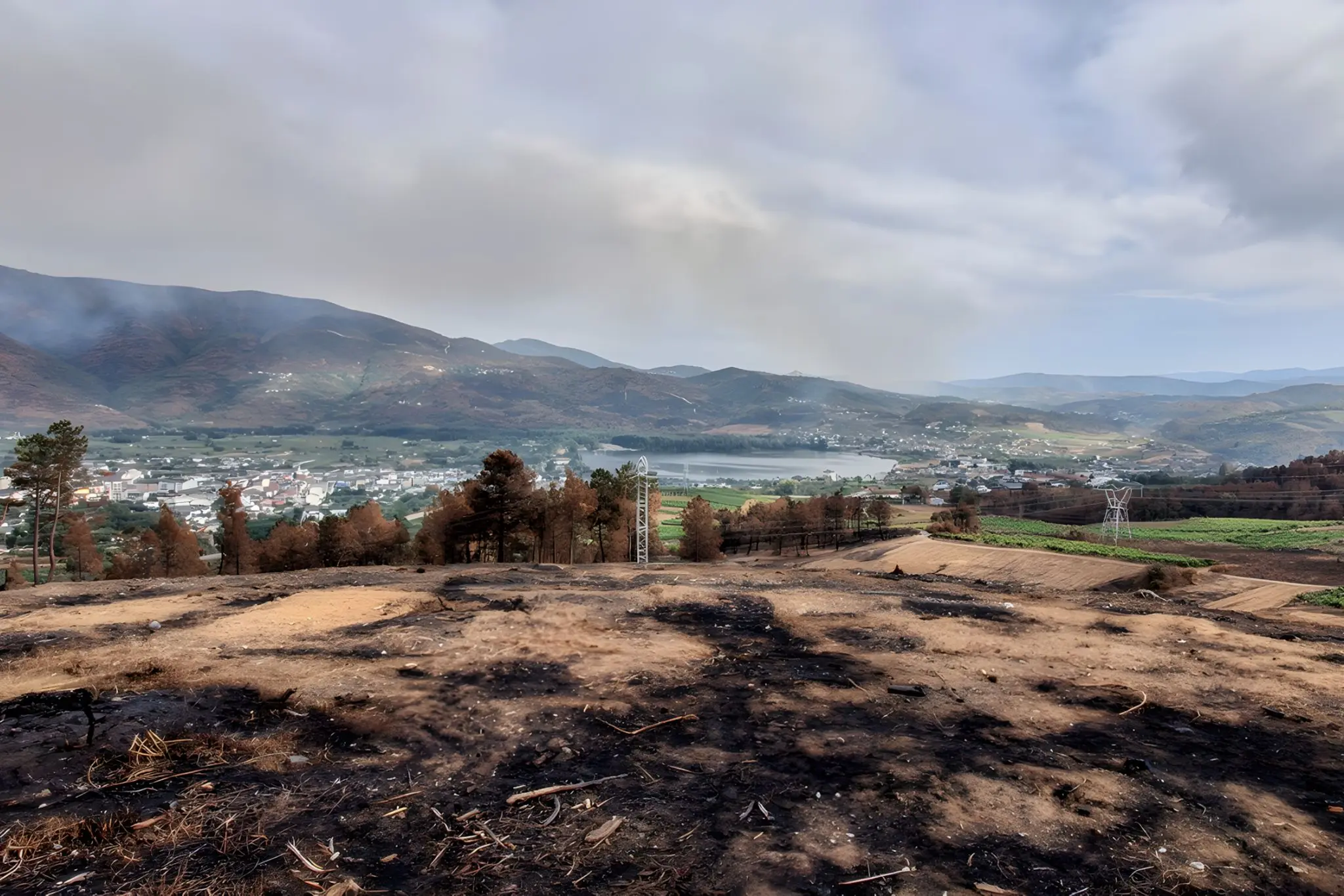 What Fire Reveals: Wildfire as a Reading of Ribeira Sacra