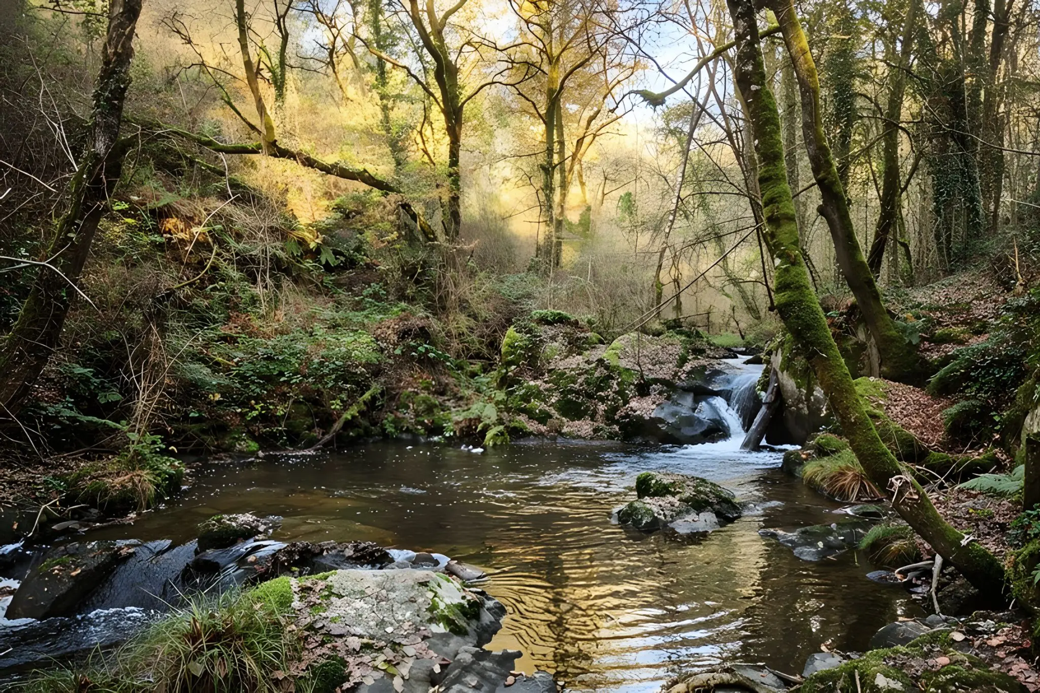 A Quiet Loop Around Ferreira de Pantón: The PR-G 274