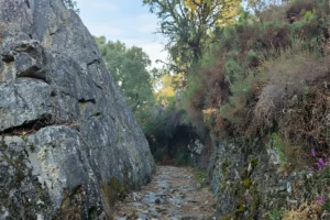 The Cubela Loop: A Gold Road That Became a Walk