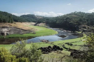 The North Bank: Birding the Quiet Side of the Miño