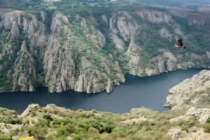 Birds Above the Terraces: How Ribeira Sacra Reads From the Air