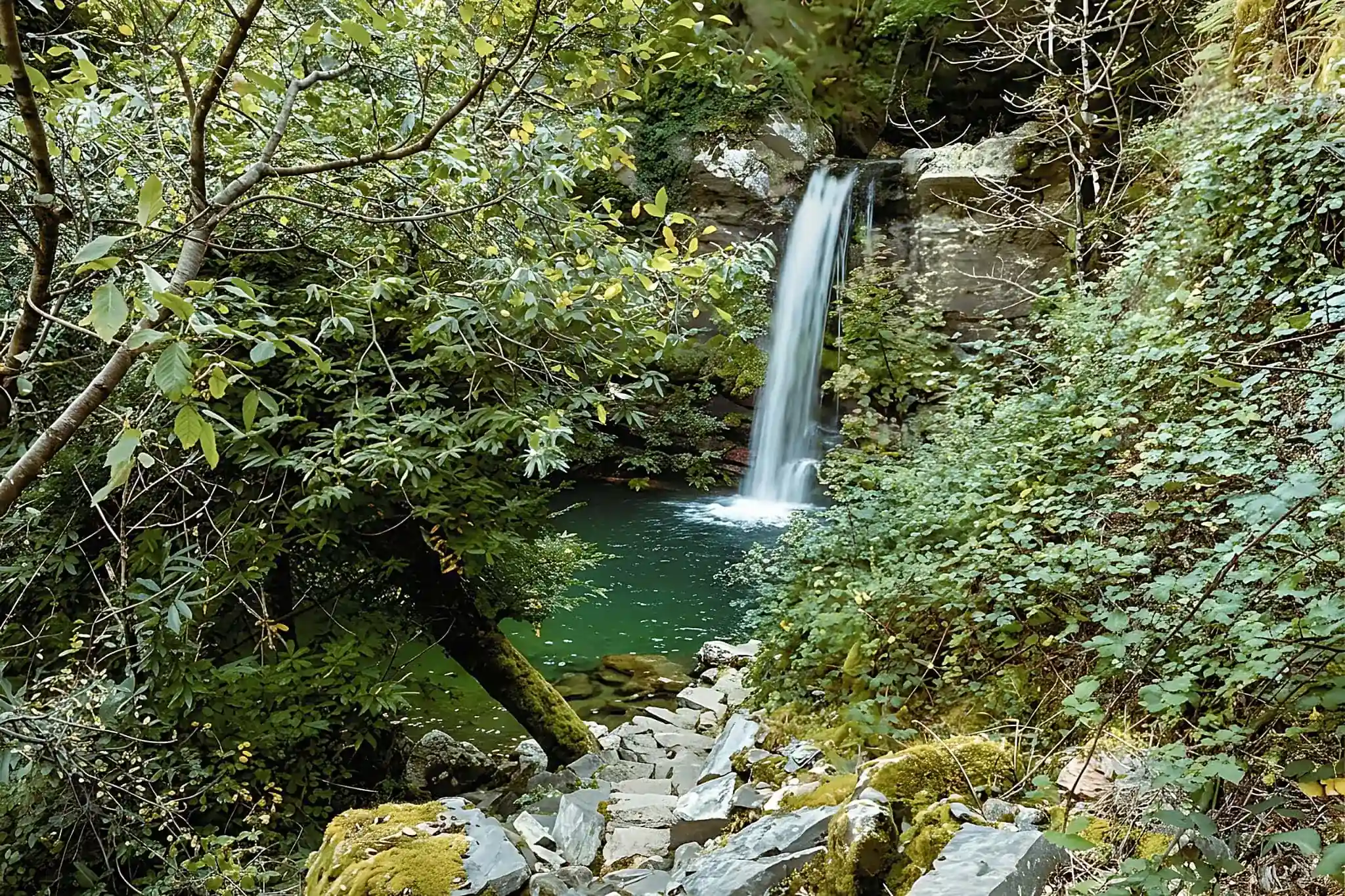 The Fervenzas of Quiroga: Cold Water, Warm East