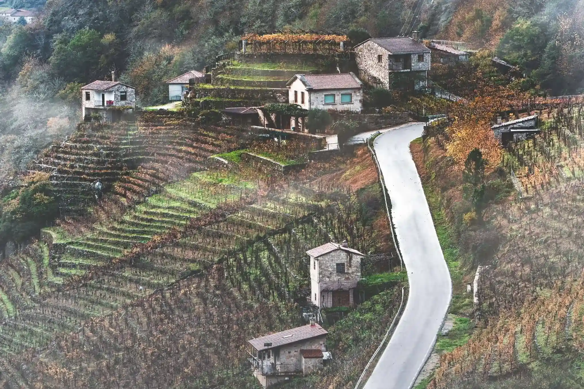 The Vineyard Stopped Being Money