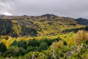 Terra de Caldelas: The Name Before the Territory