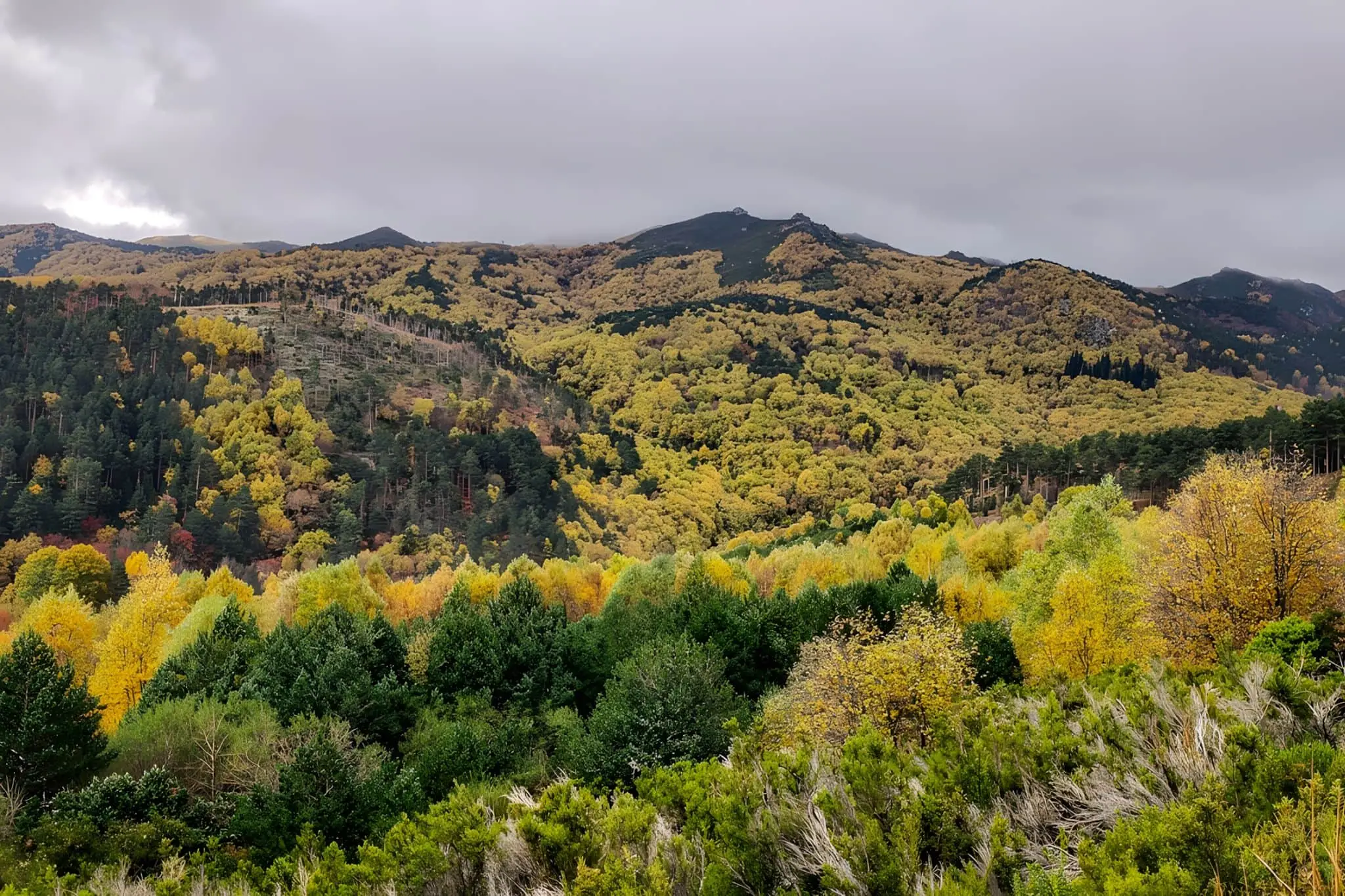 Terra de Caldelas: el nombre antes que el territorio