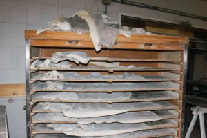 Where We Buy Our Bread in Ribeira Sacra